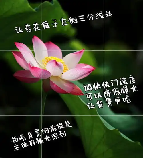 测试一个超长简介的文章