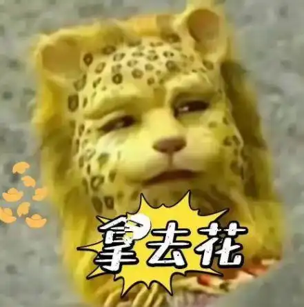 金钱豹的梗来了2022年不明白它为何火来看看它身上的优点