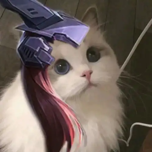 王者荣耀猫猫头像图
