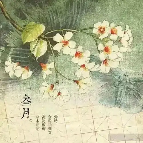 写12月古诗,送给12个月的自己