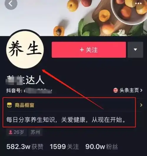 趣陈宝提供大量最新市场火爆的虚拟产品