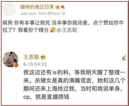 深挖孙一宁其人做过网骗卖过cp,但怼王思聪这事却干得漂亮