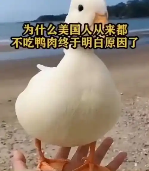 奇闻奇闻异录奇闻趣事奇闻异事