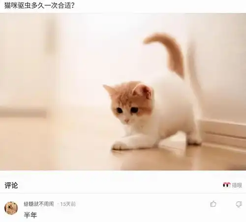 神回复姑娘在向你招手,你好歹给个反应啊