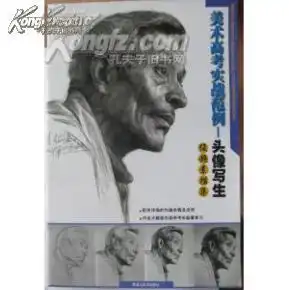 美术高考实战范例头像写生俊超素描集