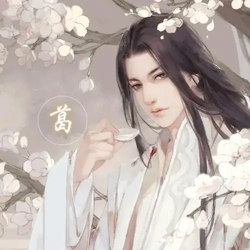 测试一个超长简介的文章