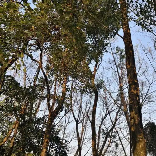 三水森林公园门票,三水森林公园游玩攻略360地图