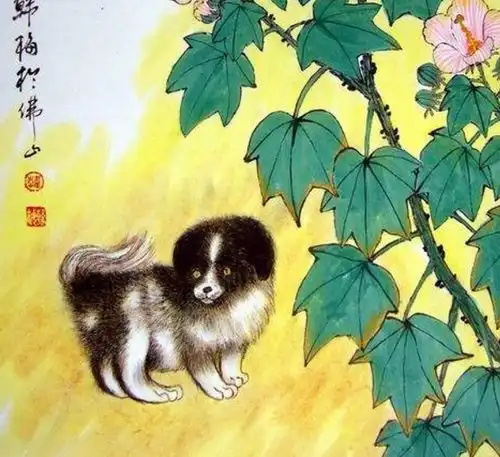 1月21日,大金狗赶紧来接头喜3秒打开,整年好运