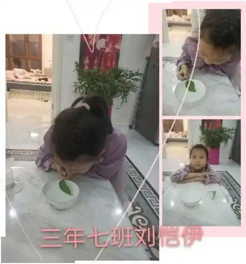 三年七班十十一月份科学小实验集锦