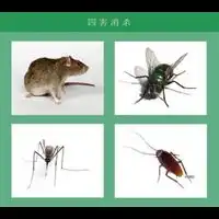 珠海专业除四害公司珠海市卫康白蚁防治有限公司香洲白蚁防治珠海杀虫香洲灭白蚁香洲灭鼠