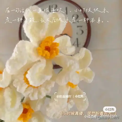 白莲花钩织教程今日头条