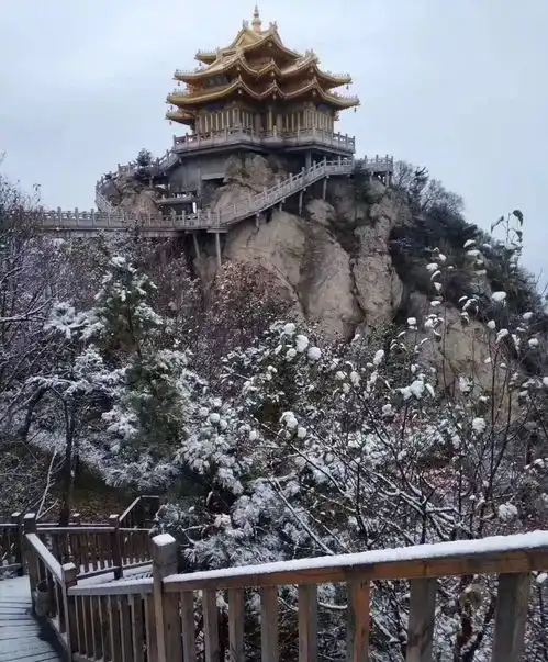 测试一个超长简介的文章