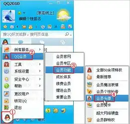 qq会员最近使用头像怎么删除