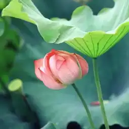 生命无常,且行且惜