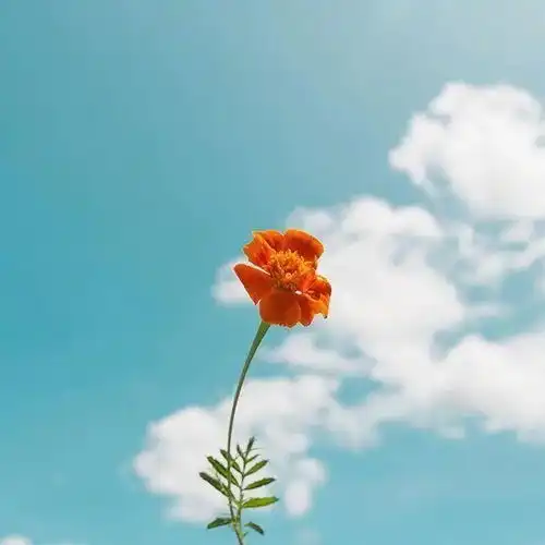 微信最红的一段话,写给自己