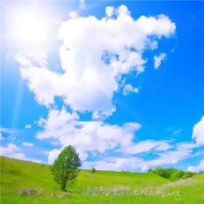 测试一个超长简介的文章