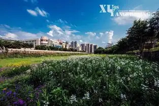 姹紫嫣红扮靓街头巷尾龙岩市民尽享绿意盎然