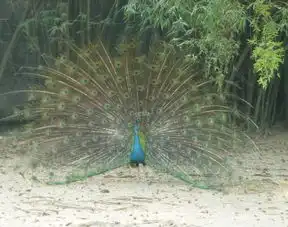 美景挡不住这个假期来金陵天泉湖踏清,样样都挺好