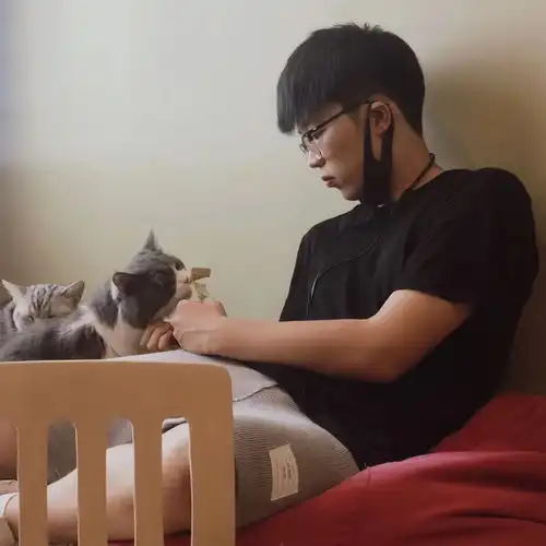 大学生男教员上海家教家教114