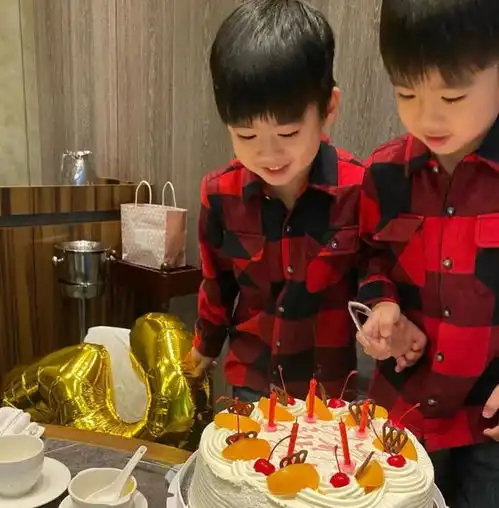 林志颖夫妇为双胞胎庆生双子星穿同款格子衫画面温馨