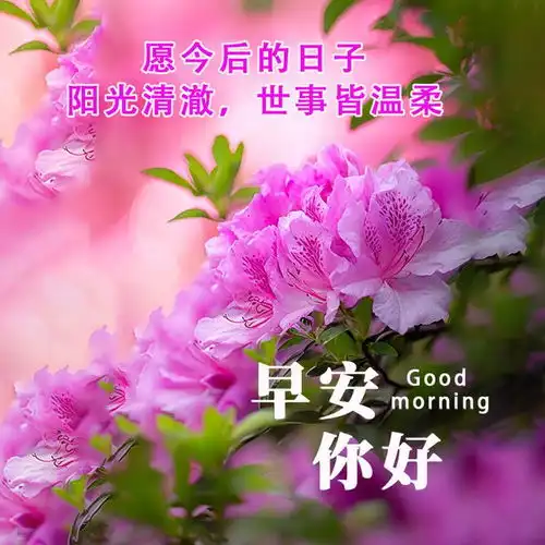 5月23日早安图片,愿日子辉煌,生活闪耀岁月暖润,心情无虑