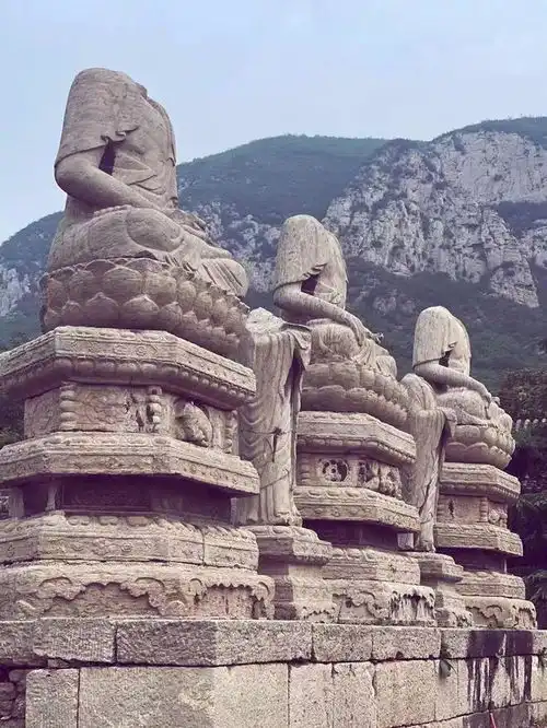 测试一个超长简介的文章