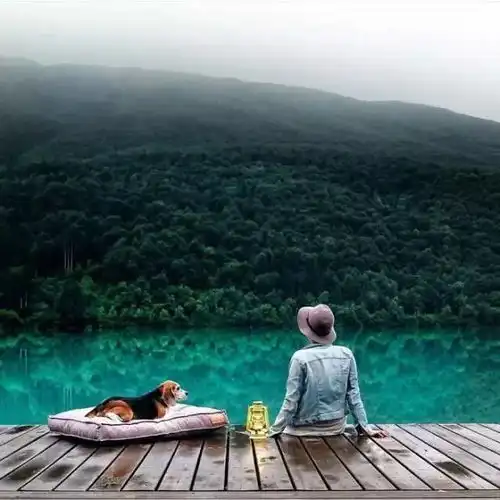 旅行,不要害怕错过什么,因为在路上你就已经收获了自由自在的好心情