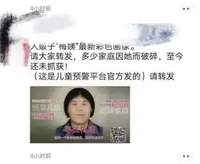 刷屏的梅姨画像,公安部通报了