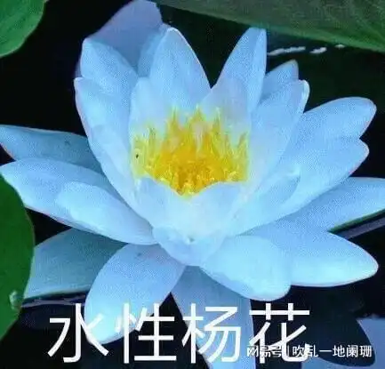 为了孩子,她隐忍伤子之痛,力保儿媳活路