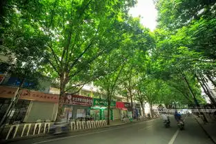 白天绿意盎然夜晚流光溢彩中国南宁