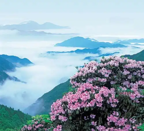 放下分别心,无分别心是道