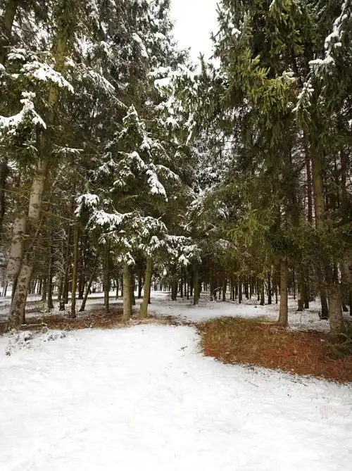 高清冬季冬天雪景自然风景jpg图片摄影图下载至来源处