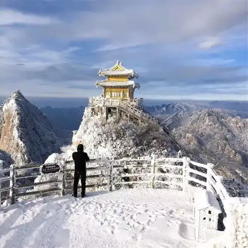 测试一个超长简介的文章