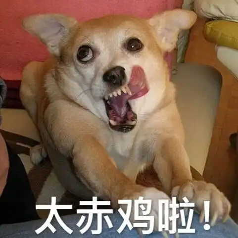 测试一个超长简介的文章