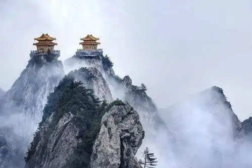 河南又火一网红景区,大家却说摊上事了,被称洛阳王牌