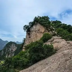 测试一个超长简介的文章