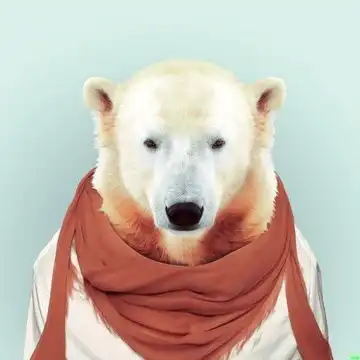 我的收藏