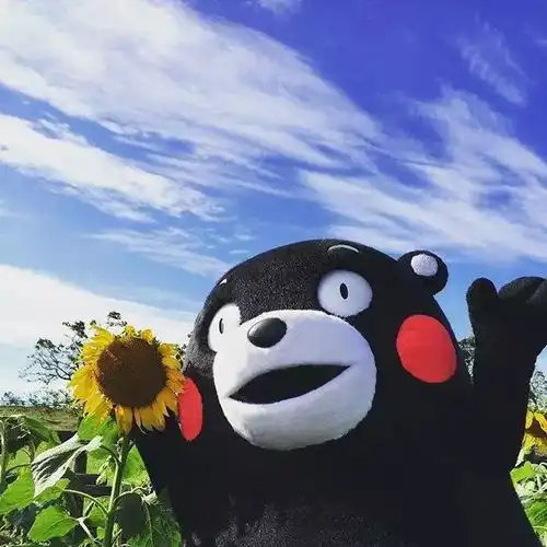 石家庄人挺住熬过了8月,好日子就要来了