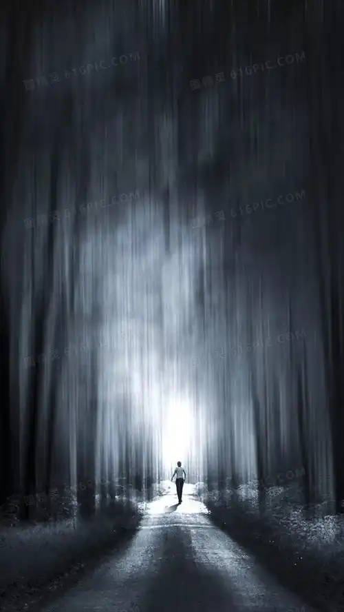 森林吊桥h5背景背景图片下载1080x1920像素jpg格式编号vjqf8nq21图精灵
