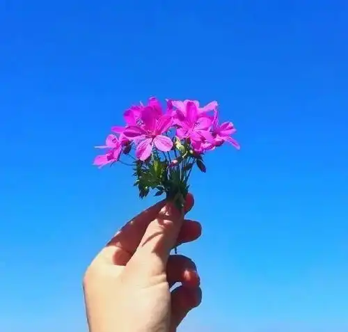 写给自己奋斗的话,句句鼓舞人心