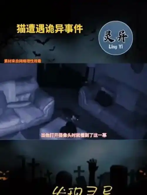猫遭遇诡异事件奇闻异事胆小慎入白天刷不到晚上逃不掉系列监控下的一幕