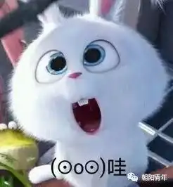 最美中学生投票开始啦