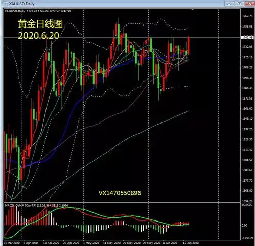 张岩论金6.20外汇黄金原油周评