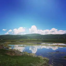我要当网红最美的不是风景,而是一路上有你们