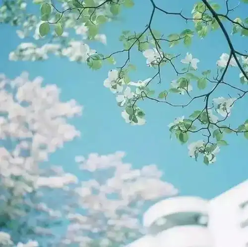 席慕蓉生命里永远有一种等待