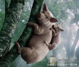 别以为我只会踢球,我怒起来还会踢人呢
