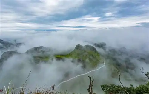 烟雨蒙蒙的春天,广东连山金子山的云海景观如同仙境