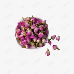 花苞法兰西玫瑰花茶图片素材图片免费下载高清装饰图案png千库网图片编号7774851