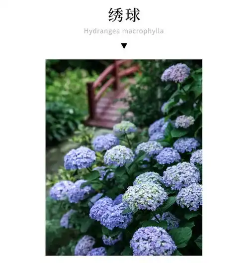 开荒扩土10年,他徒手造无锡最美私家花园