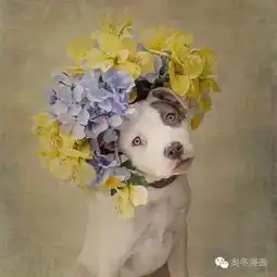 狗狗认真打扮起来,高贵的气质连皇室成员都怕